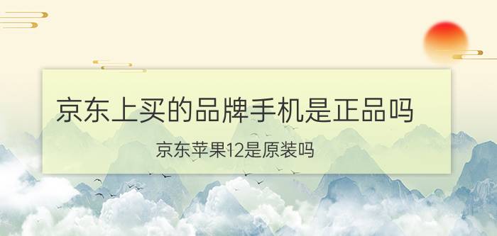 京东上买的品牌手机是正品吗 京东苹果12是原装吗？